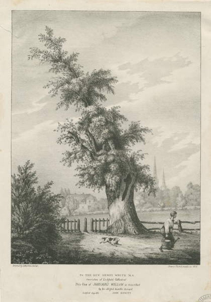Detail of Lichfield - 'Dr. Johnson's' Willow Tree by Charles Joseph Hullmandel