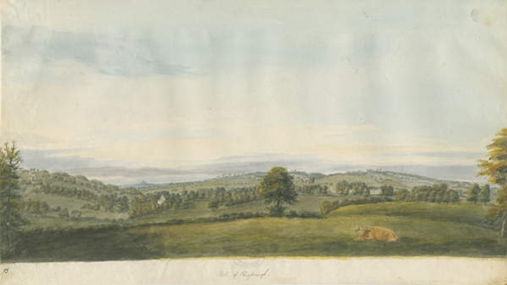 Detail of Vale of Shugborough by School English