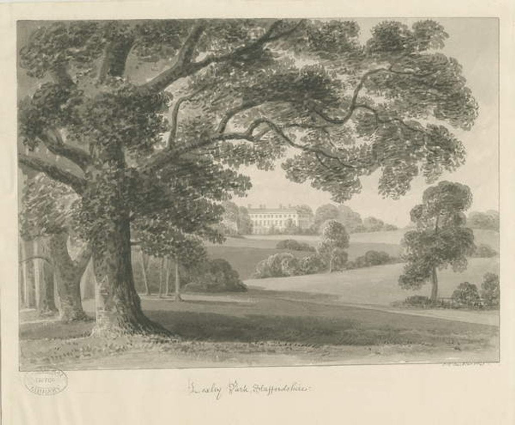 Detail of Loxley Park: sepia drawing, 1841 by John Chessell Buckler