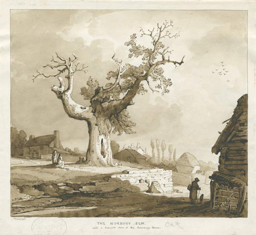 Detail of Norbury Village - 'The Norbury Elm' by Thomas Peploe Wood