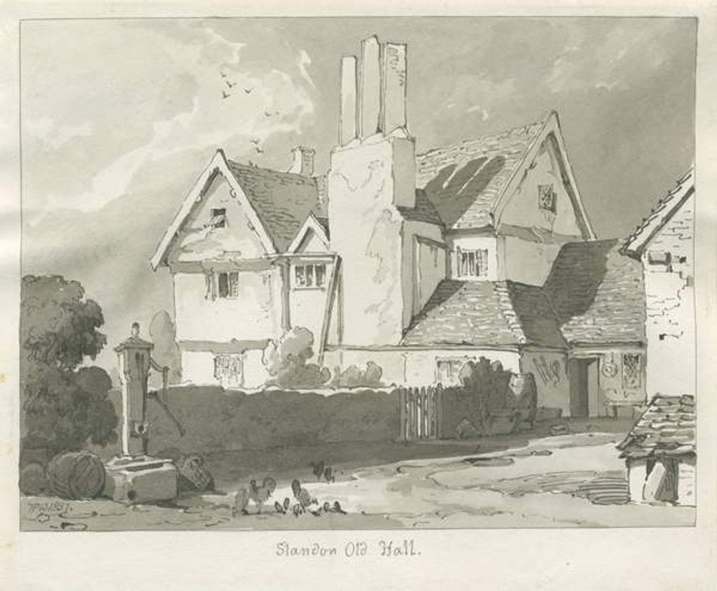 Detail of Standon Hall by Thomas Peploe Wood