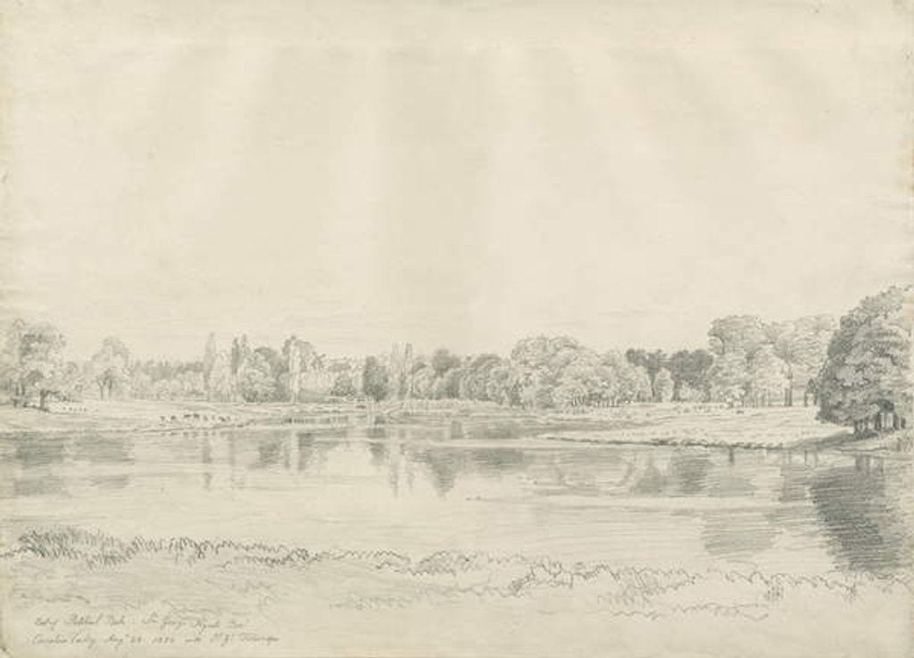 Detail of Patshull House - Park and Pool by John Buckler