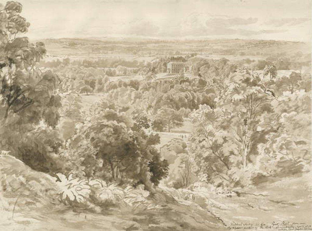 Detail of Patshull House and Park by John Buckler