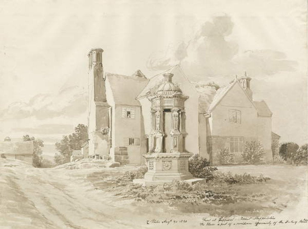 Detail of Patshull - Pepperhill by John Buckler