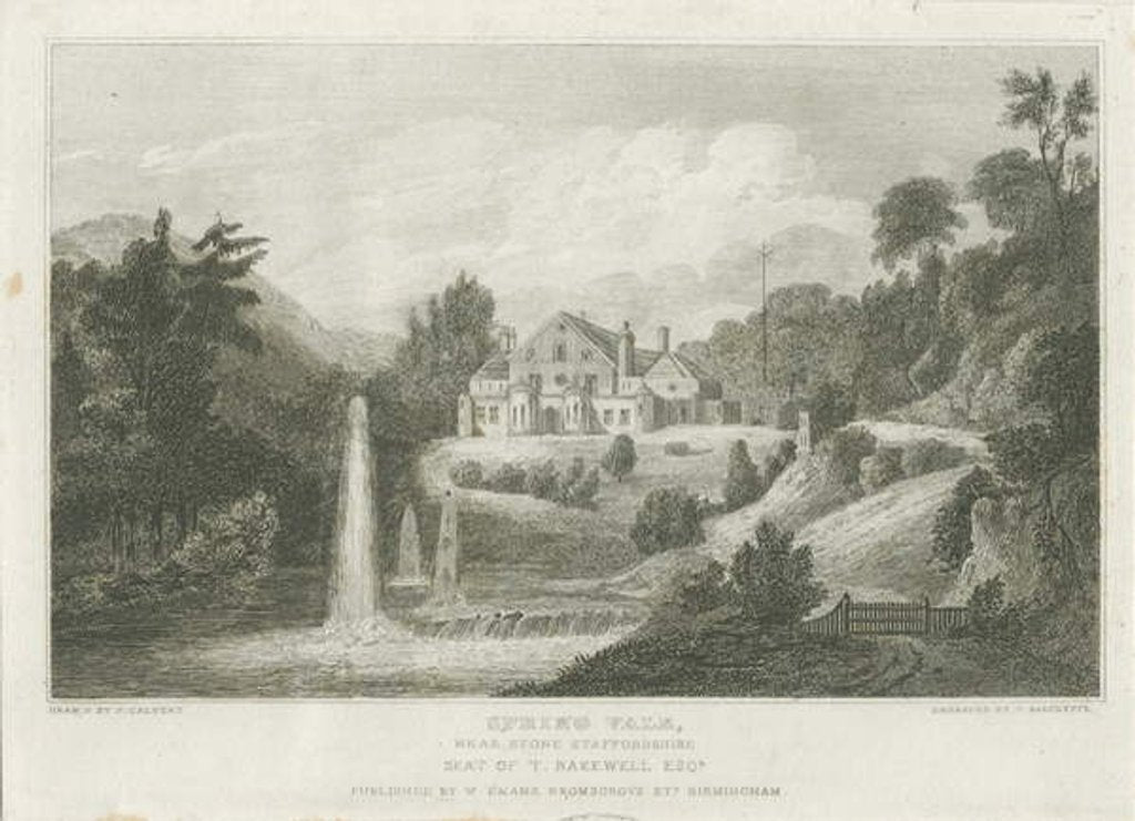 Detail of Stone - Spring Vale by Frederick Calvert