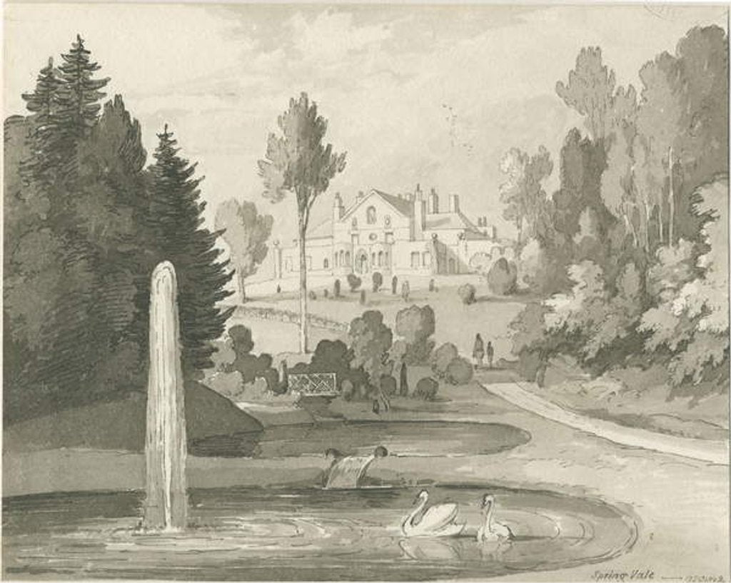 Detail of Stone - Spring Vale by Thomas Peploe Wood