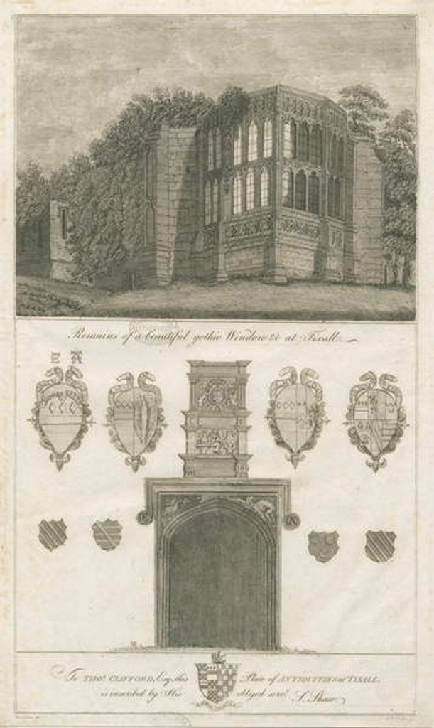 Detail of Tixall Hall - Gothic Window and Heraldic Antiquities: engraving by Stebbing Shaw