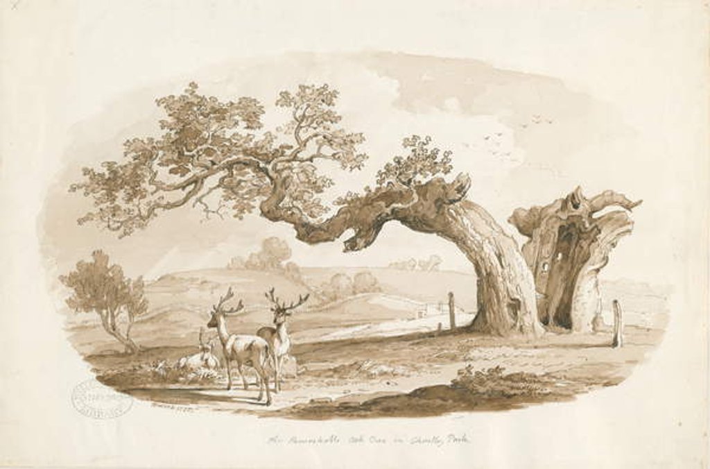 Detail of Chartley Hall - Park: sepia drawing, 1838 by Thomas Peploe Wood