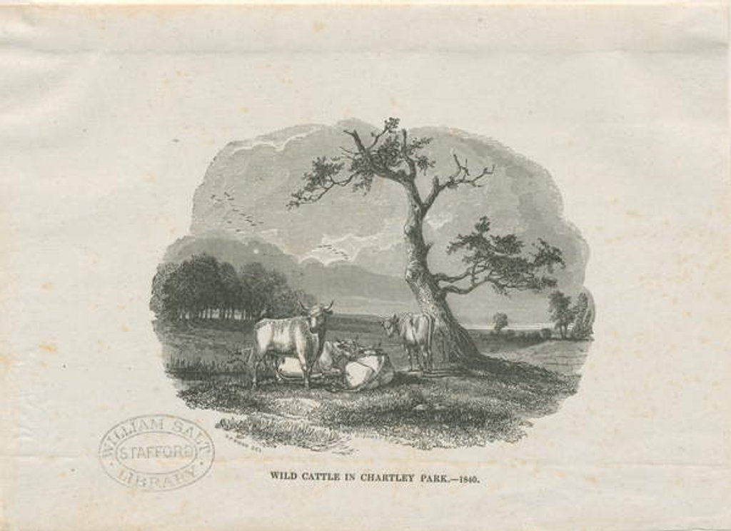 Detail of Chartley Hall - Park by Thomas Peploe Wood