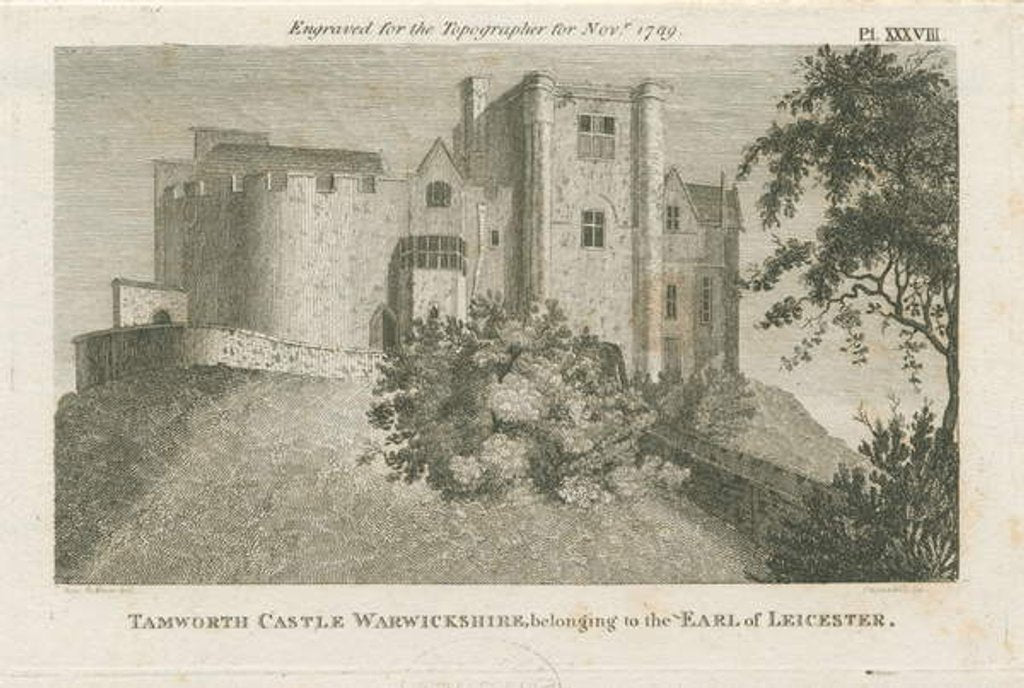 Detail of Tamworth Castle by Stebbing Shaw