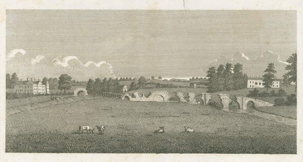 Detail of Wolseley Bridge: engraving, 1802 by Stebbing Shaw