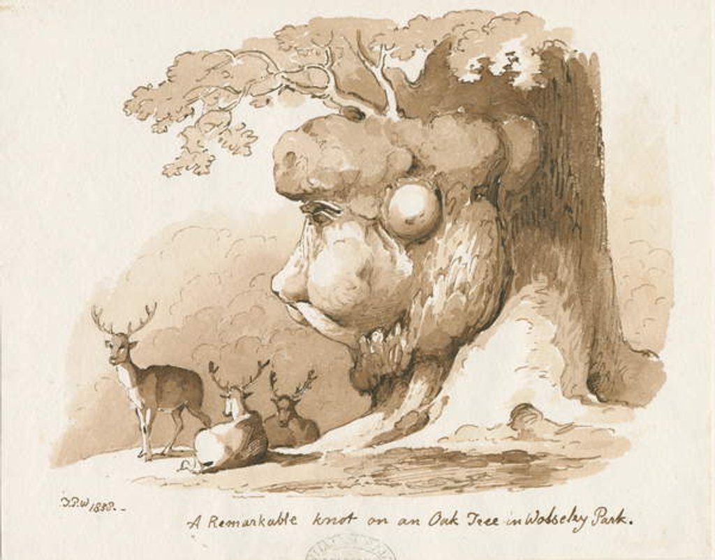 Detail of Wolseley Park - Knot on an Oak Tree: pen and sepia drawing, 1838 by Thomas Peploe Wood