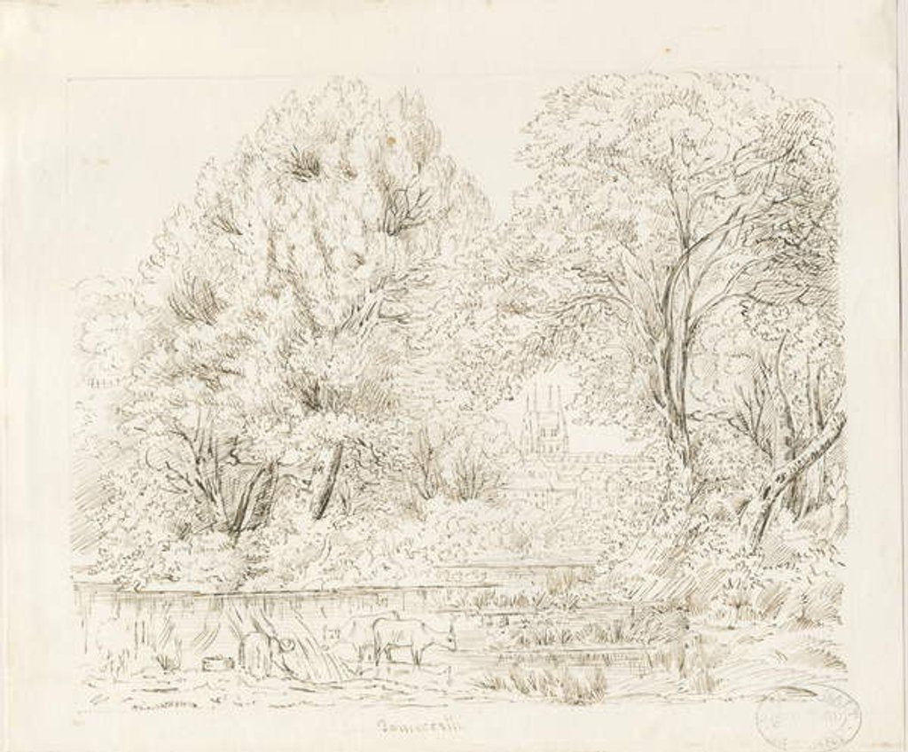 Detail of Tamworth - Rural View by School English