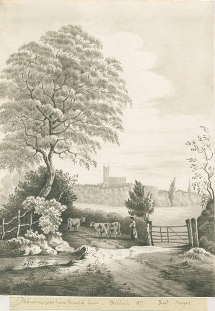 Detail of Wolverhampton - Distant view from Dunstall Lane by Robert Noyes