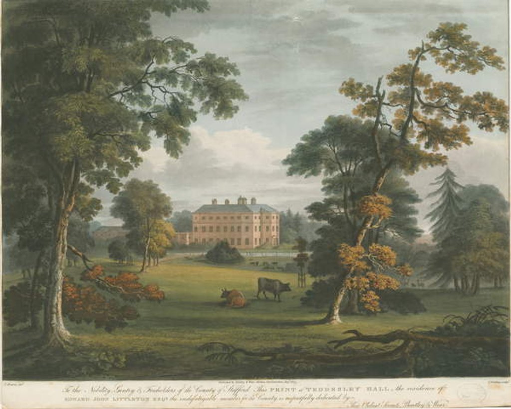Detail of Teddesley Hall: coloured aquatint engraving by School English