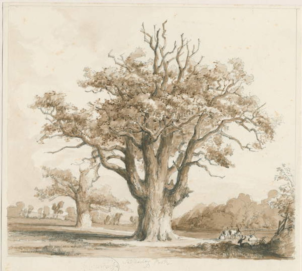 Detail of Teddesley Hall - Oak Trees by Thomas Peploe Wood