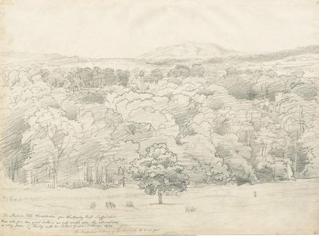 Detail of Wrottesley Hall - View of Malvern Hills by Cornelius Varley