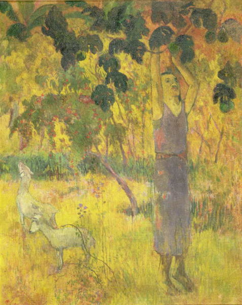 Detail of Man Picking Fruit from a Tree, 1897 by Paul Gauguin