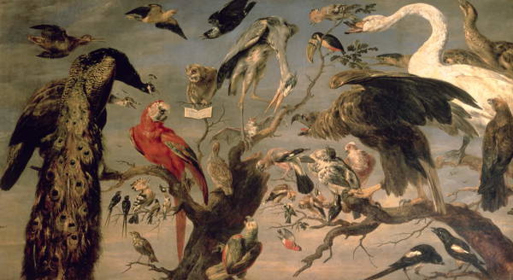 Detail of The Bird's Concert by Frans Snyders or Snijders