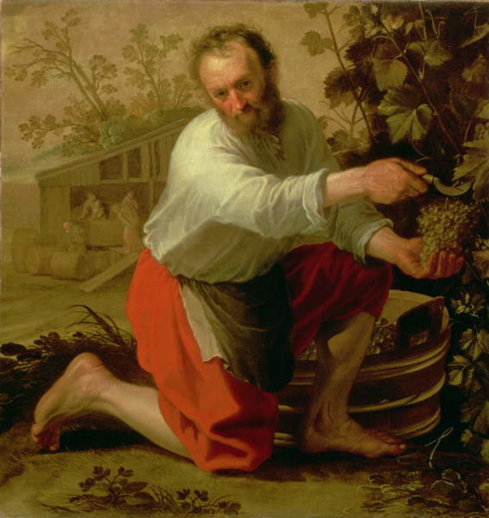 Detail of Vine Grower, 1628 by Jacob Gerritsz Cuyp