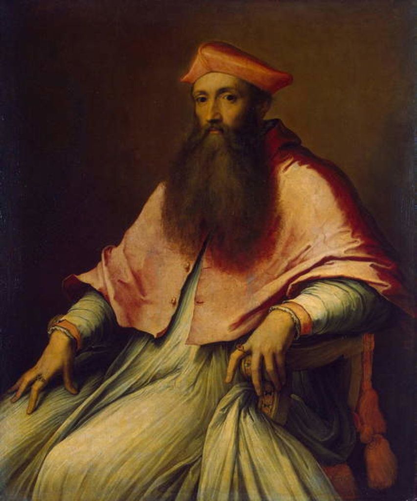 Detail of Cardinal Pole by Sebastiano del Piombo