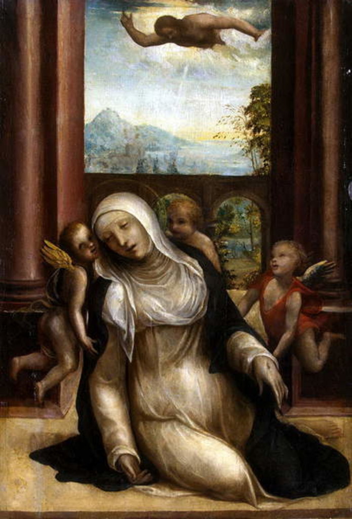 Detail of Stigmatisation and Faint of St. Catherine of Siena by G.A.Bazzi Sodoma