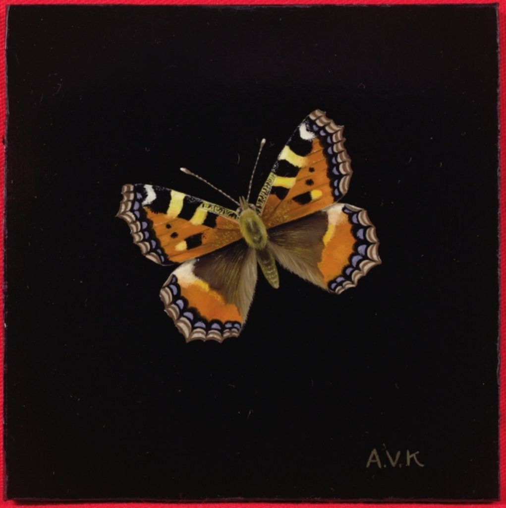 Detail of Small tortoiseshell butterfly, 1998 by Amelia Kleiser