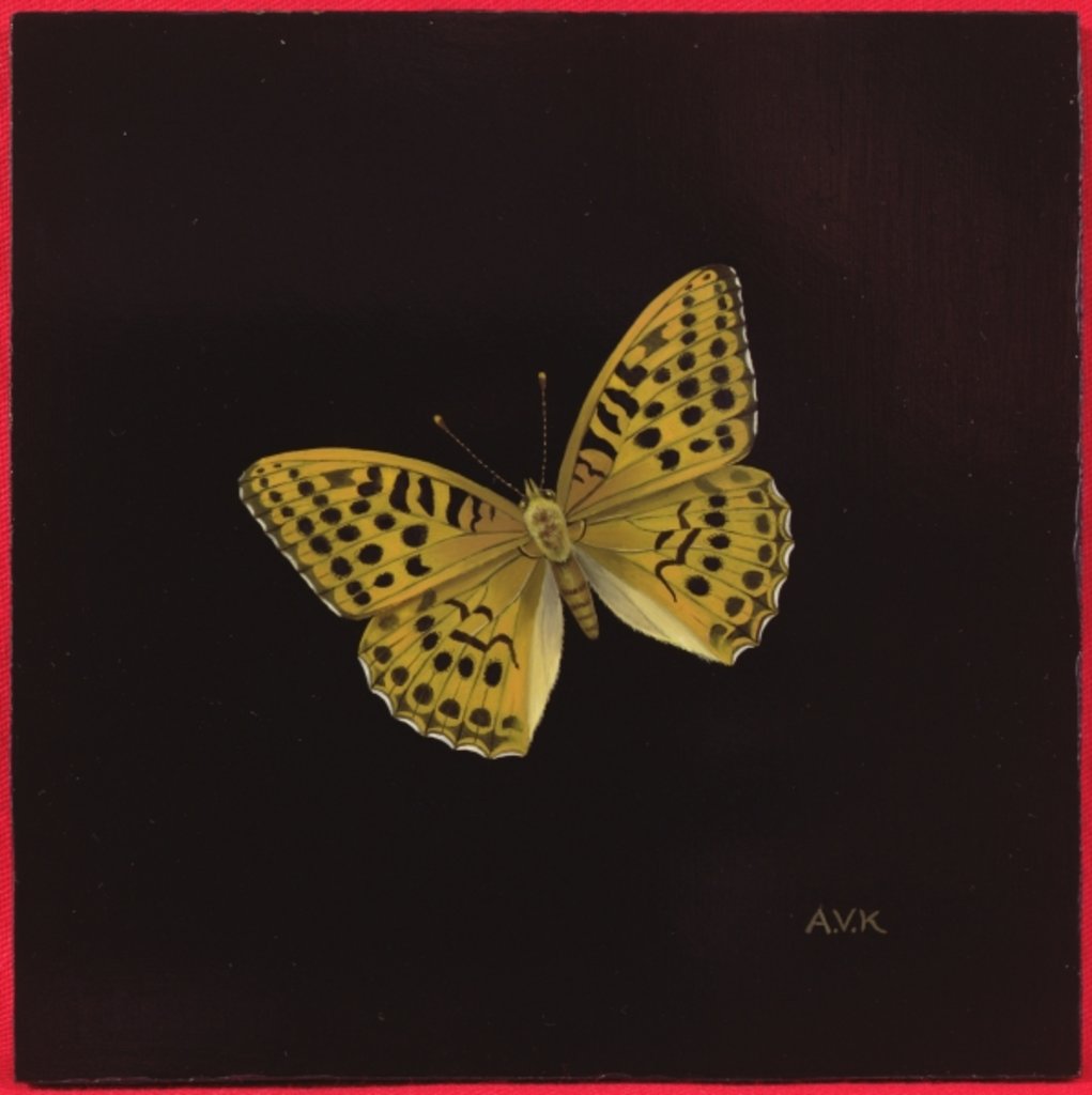 Detail of Silver washed fritillary butterfly, 2000 by Amelia Kleiser