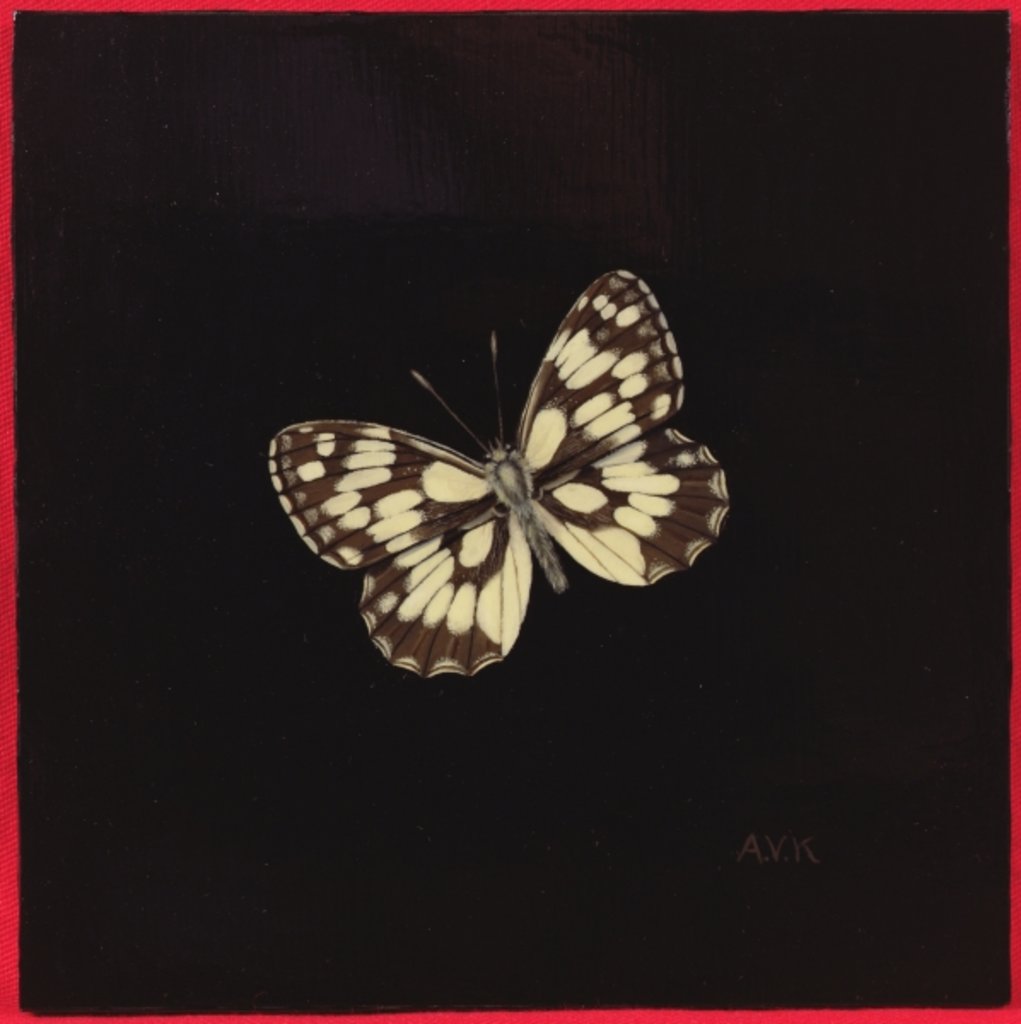 Detail of Marbled white butterfly, 2000 by Amelia Kleiser