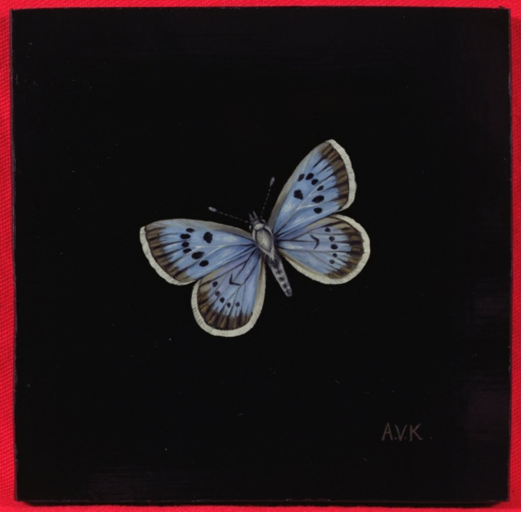 Detail of Large blue butterfly, 2000 by Amelia Kleiser