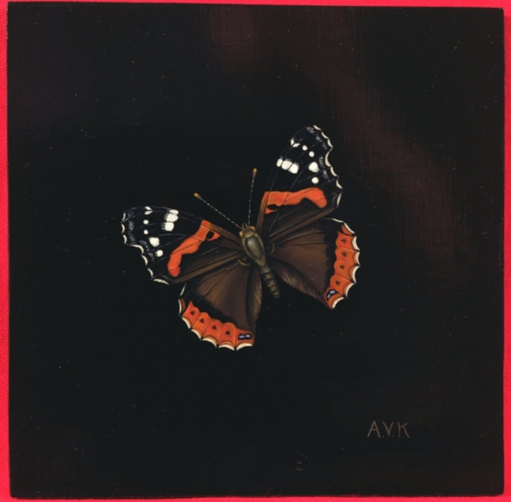 Detail of Red Admiral butterfly, 2001 by Amelia Kleiser