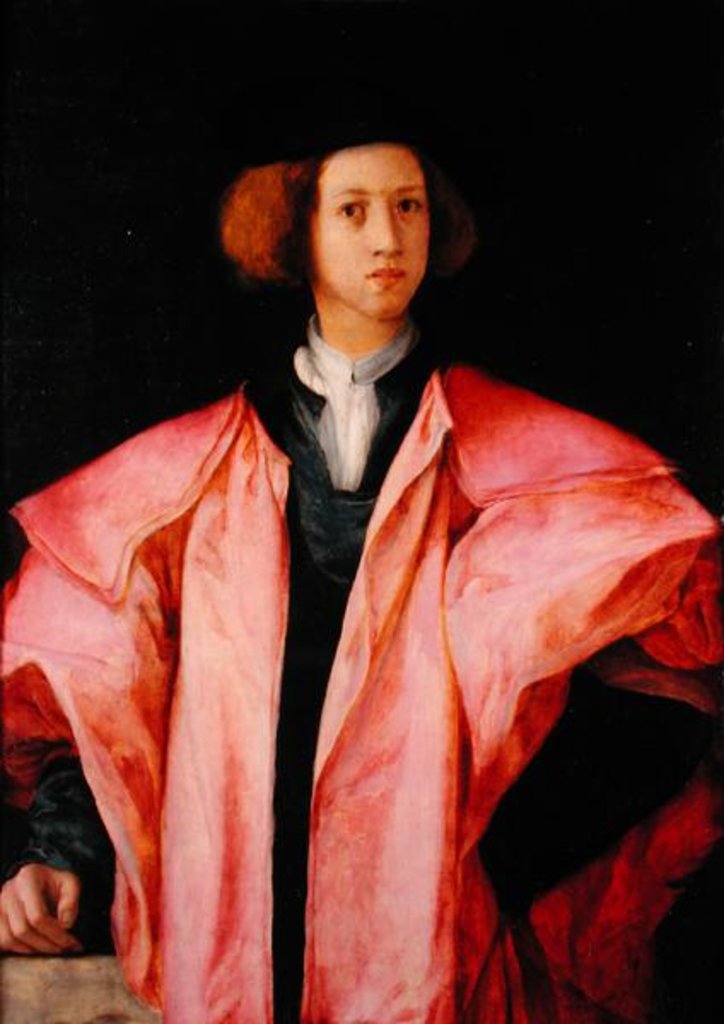 Detail of Portrait of a Young Man by Jacopo Pontormo