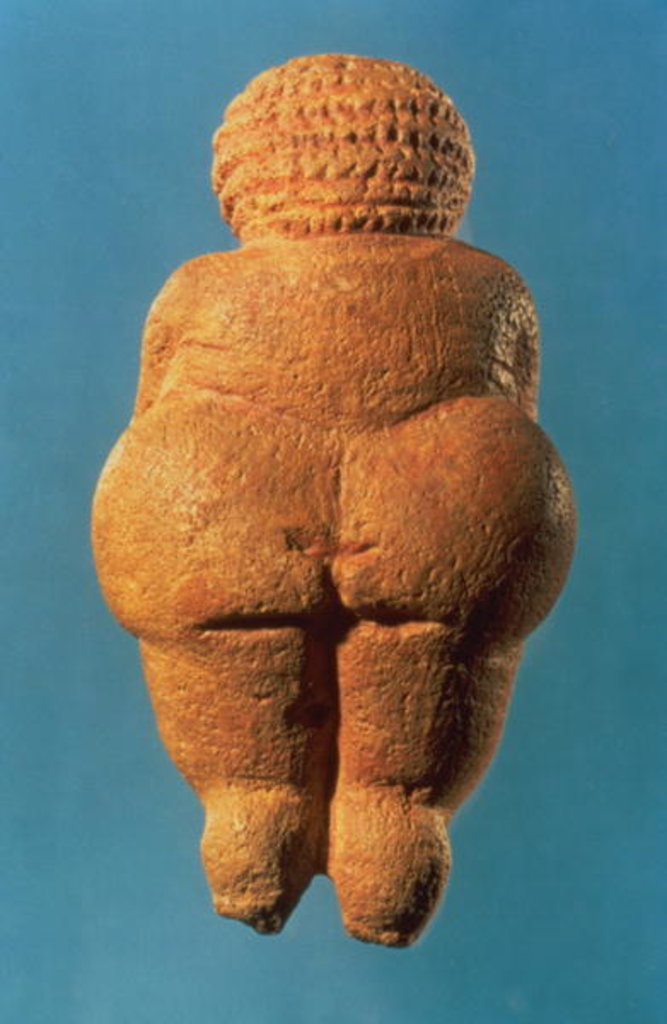 Detail of The Venus of Willendorf, 30000-25000 BC by Prehistoric Prehistoric