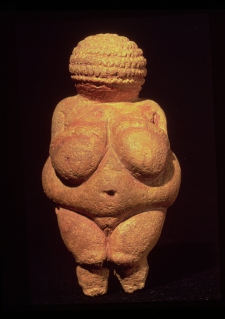 Detail of The Venus of Willendorf, 30000-25000 BC by Prehistoric Prehistoric