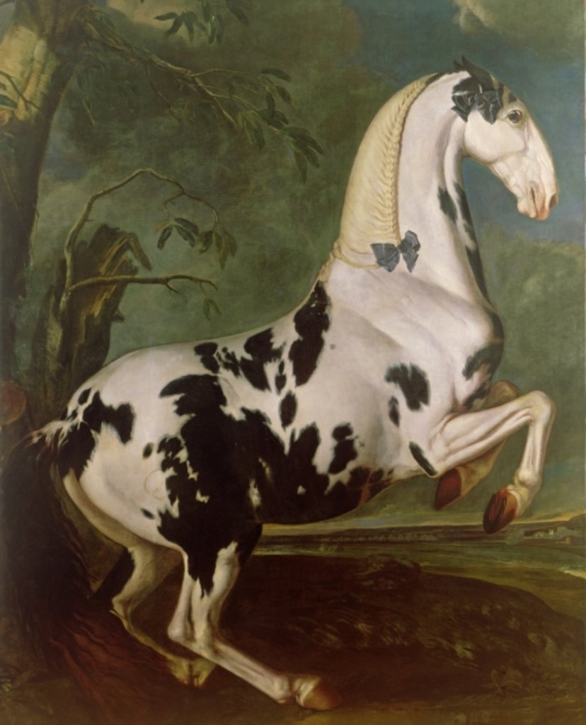 Detail of The Piebald Stallion at the Eisgruber Stud by Johann Georg Hamilton
