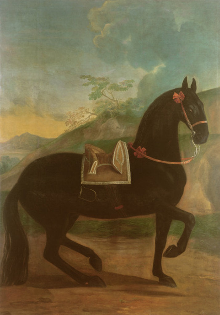 Detail of A Black Horse sporting a Spanish Saddle by Johann Georg Hamilton