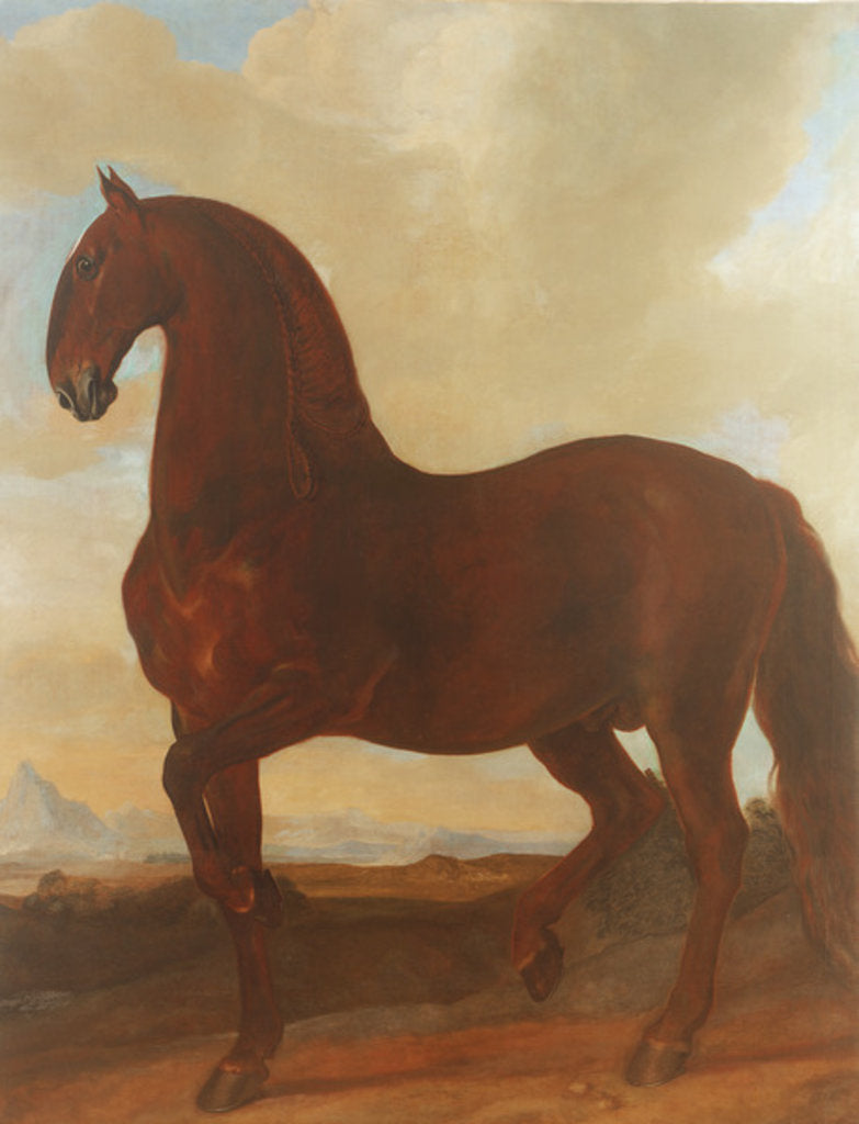 Detail of The Bay Stallion at the Eisgruber Stud by Johann Georg Hamilton
