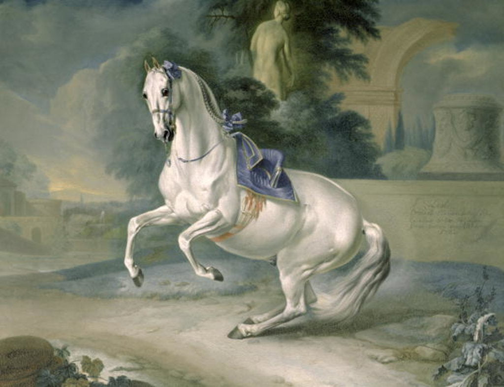 Detail of The White Stallion 'Leal' en levade, 1721 by J.G. & Brand J.C. Hamilton