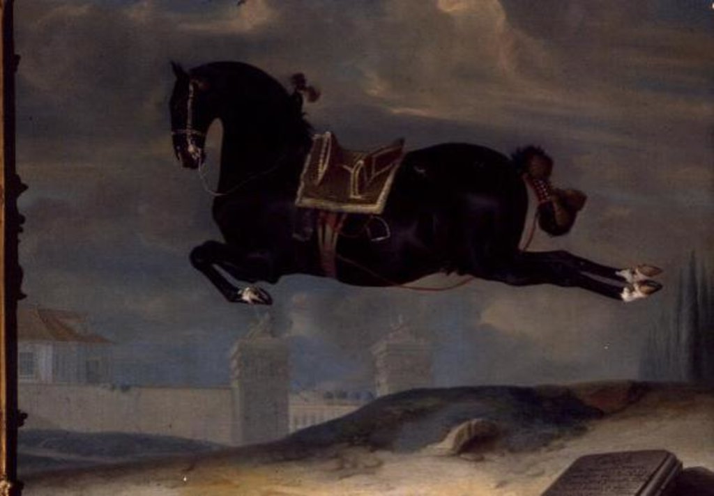 Detail of The black horse 'Curioso' performing a Capriole by Johann Georg Hamilton