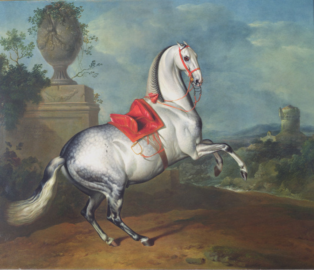 Detail of The Dapple Grey Galloping by Johann Georg Hamilton