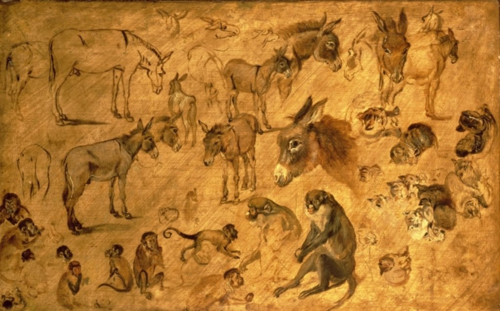 Detail of Study of Donkeys, Kittens and Monkeys, 1616 by Jan the Elder Brueghel