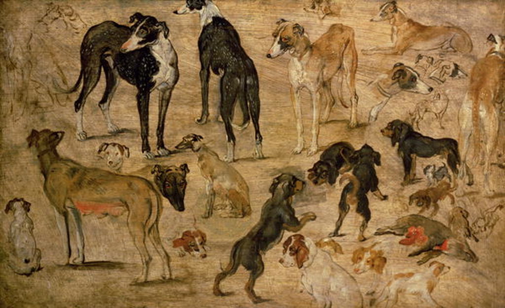 Detail of Study of Hounds, 1616 by Jan the Elder Brueghel