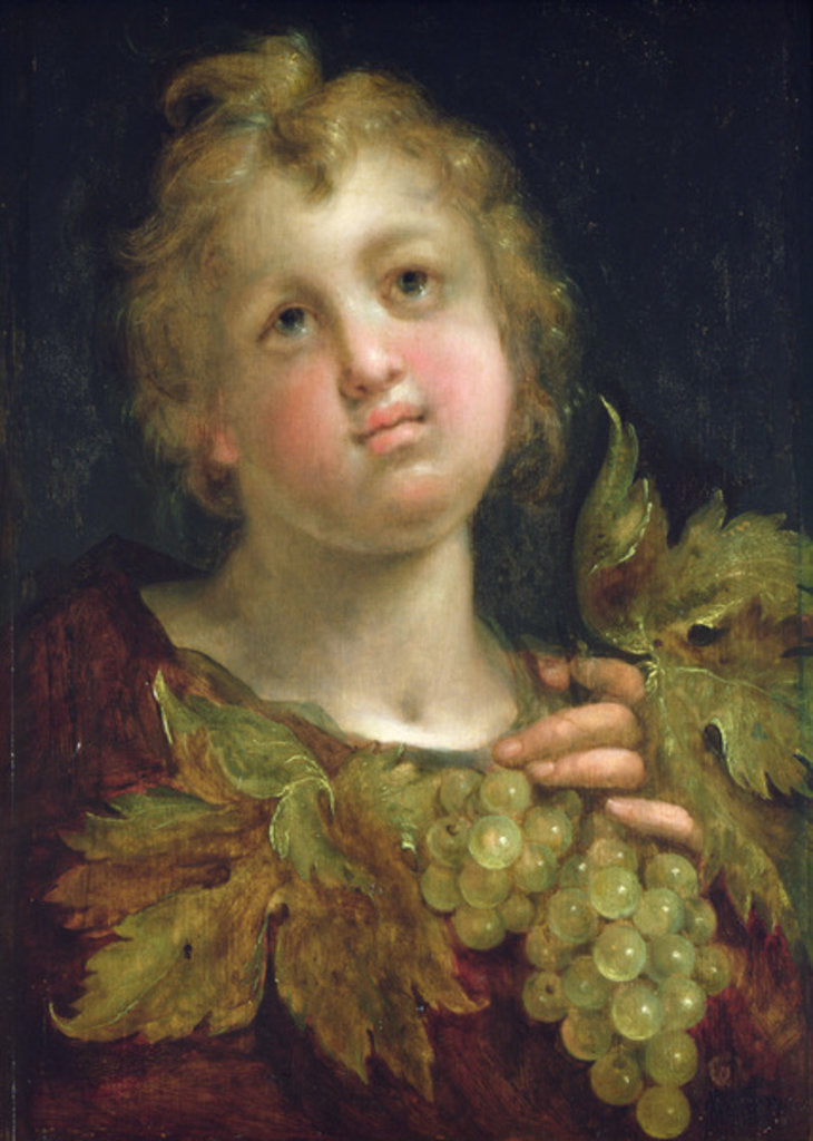 Detail of Boy with a bunch of grapes, 1600-5 by Johann or Hans von Aachen