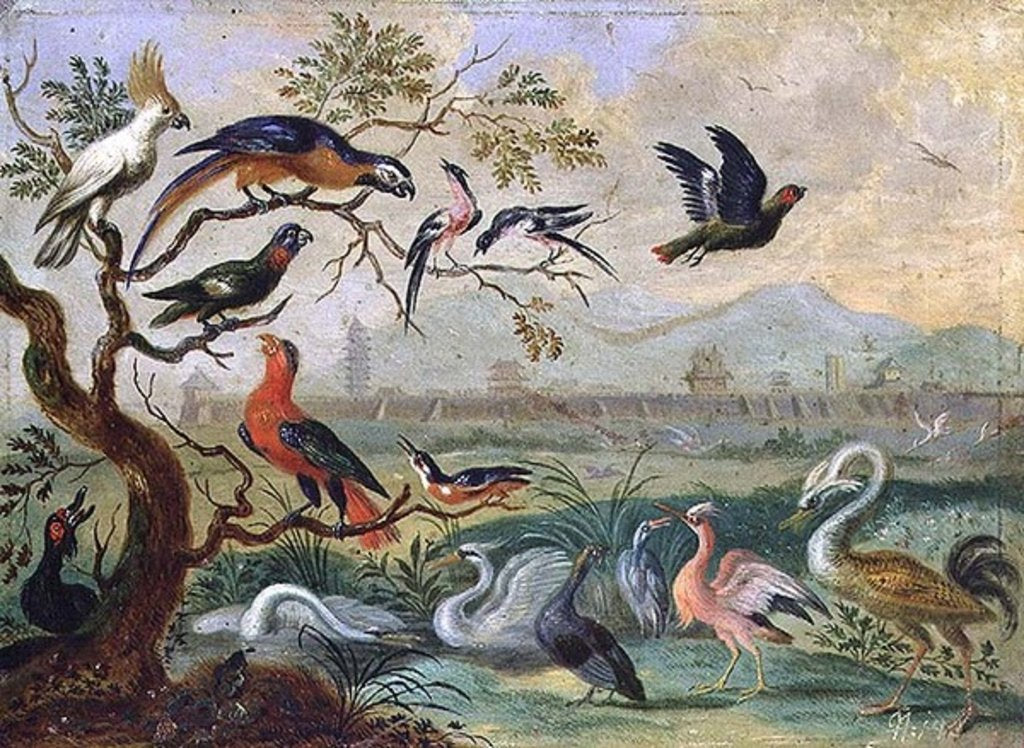 Detail of Birds from the Four continents in a landscape with a view of Peking in the background by Ferdinand van Kessel