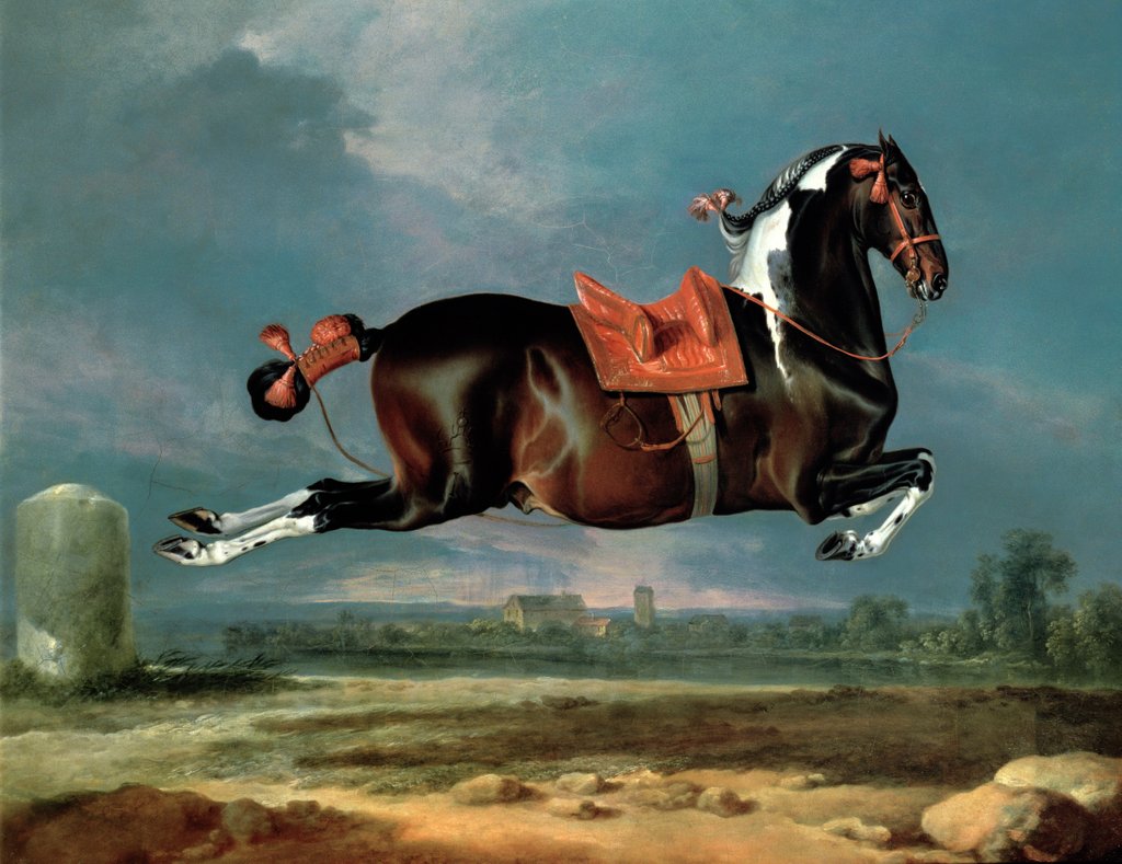 Detail of The Piebald Horse 'Cehero' Rearing, 1721 by Johann Georg Hamilton