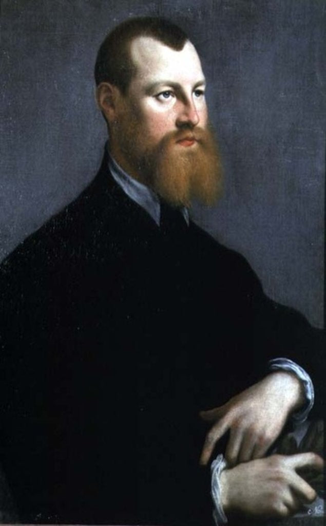 Detail of Portrait of a man with a ginger beard, 16th century by Jan Stephen Calcar