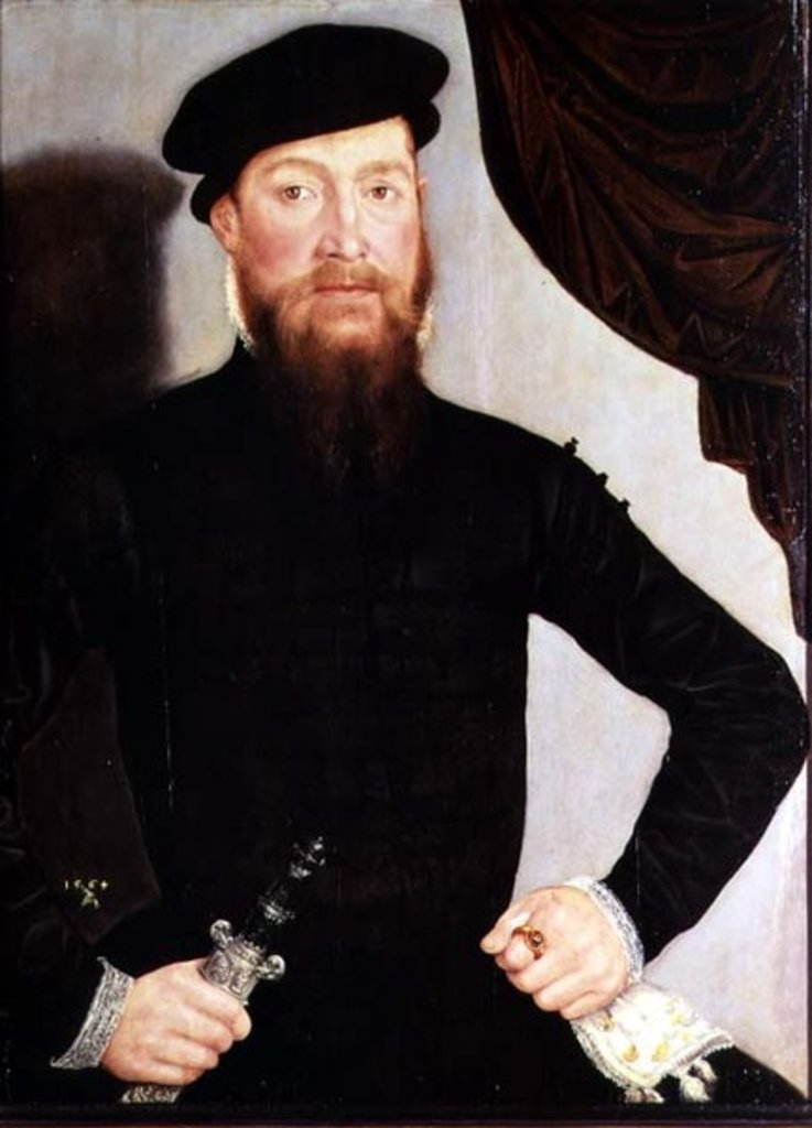 Detail of Portrait of a man, 1564 by Lucas the Younger Cranach