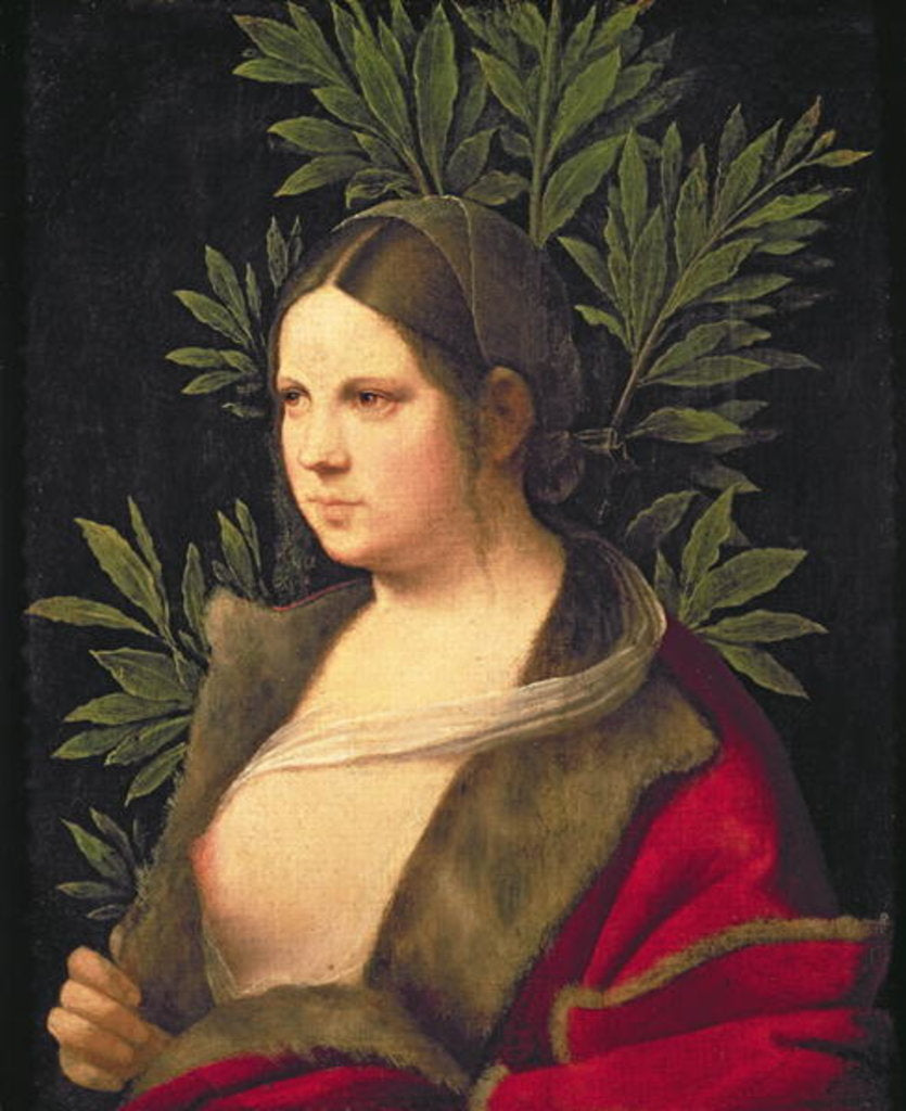 Detail of Portrait of a Young Woman, 1506 by Giorgione