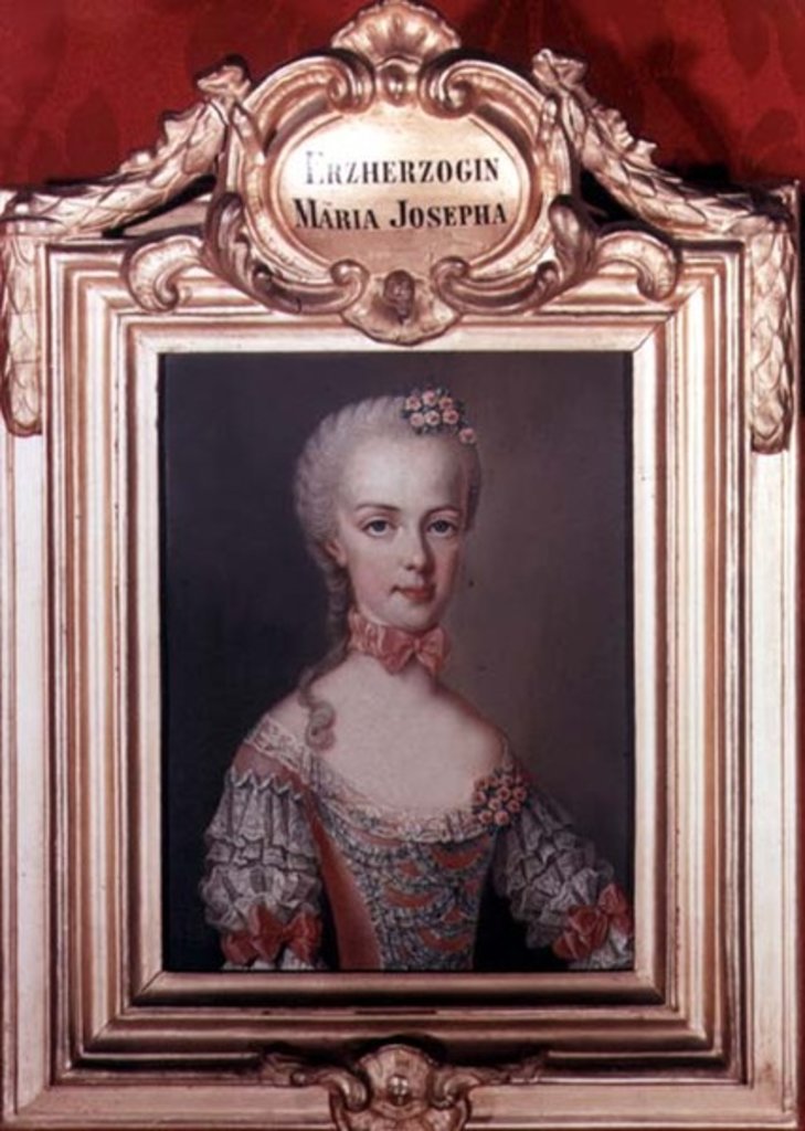 Detail of Archduchess Maria Josepha daughter of Francis I and Empress Maria Theresa of Austria, 1762 by Jean-Etienne Liotard
