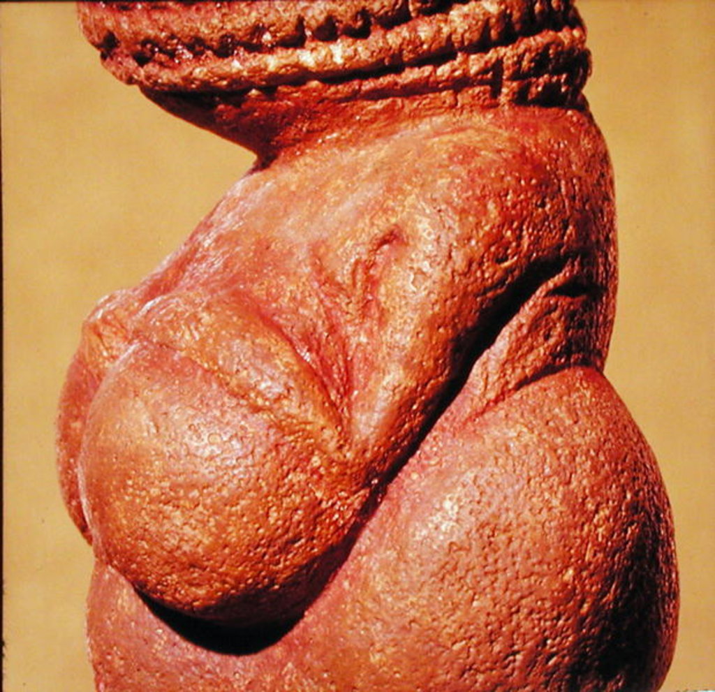 Detail of Female figurine known as the Venus of Willendorf, side view detail of torso, Gravettian culture, Upper Palaeolithic Period, c.30000-18000 BC by Paleolithic Paleolithic